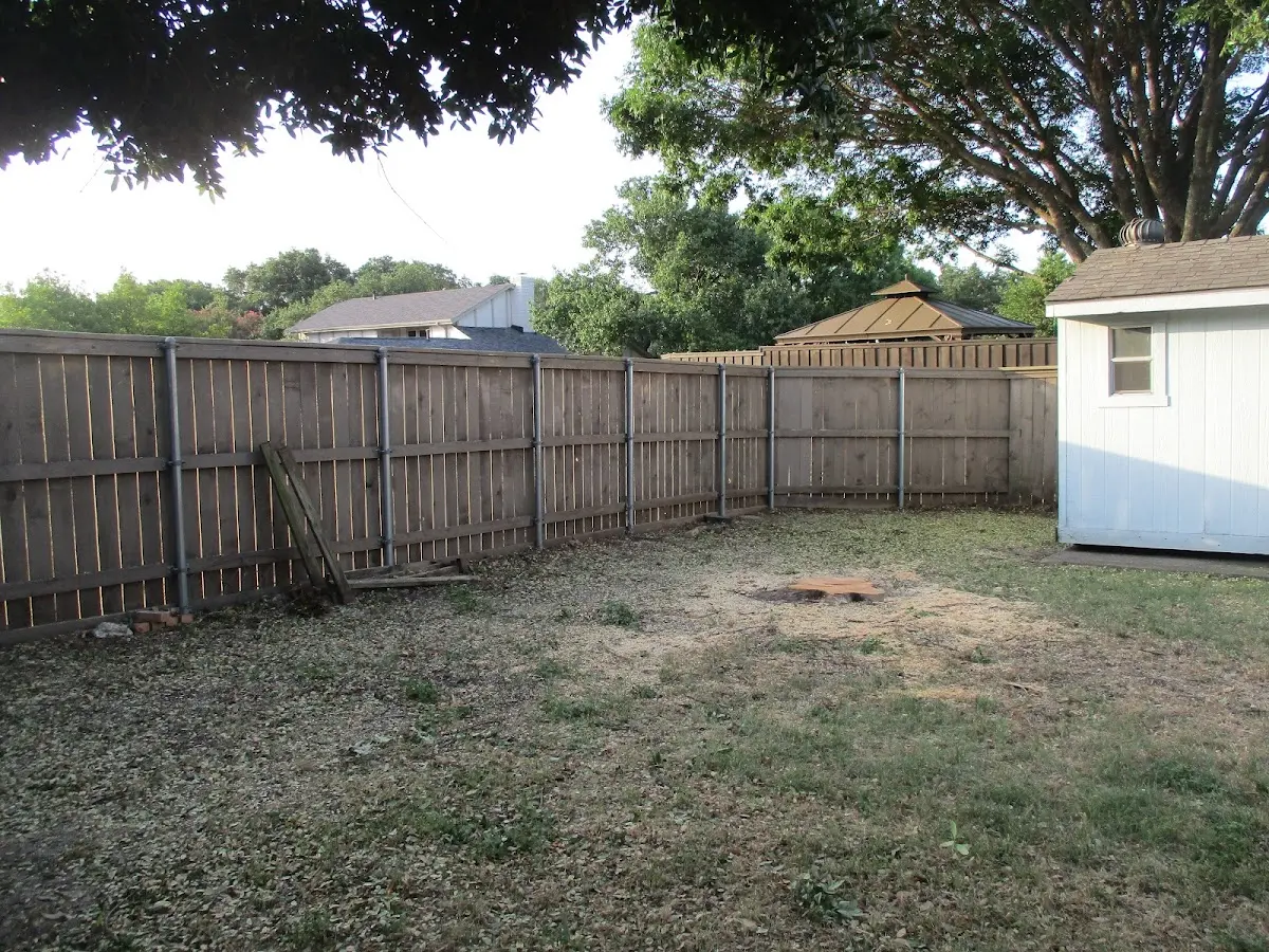 Cleared yard after professional tree removal in Biwabik